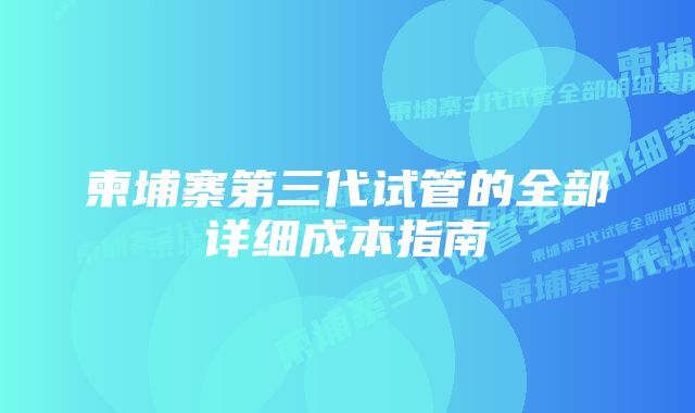 柬埔寨第三代试管的全部详细成本指南