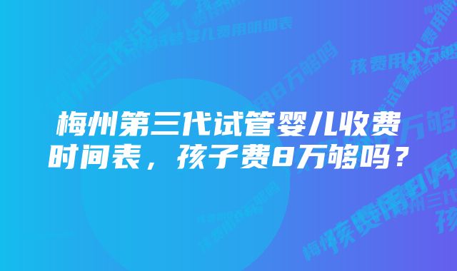 梅州第三代试管婴儿收费时间表，孩子费8万够吗？