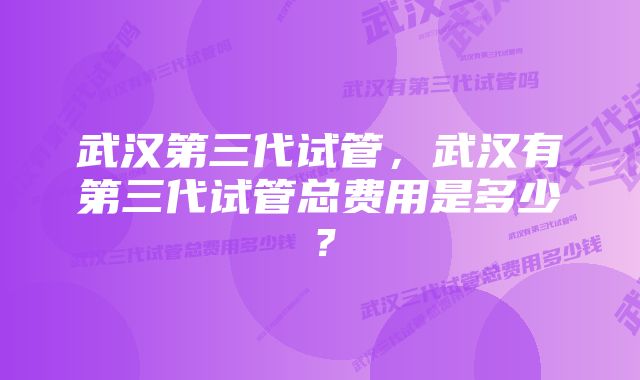 武汉第三代试管，武汉有第三代试管总费用是多少？