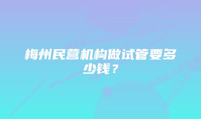 梅州民营机构做试管要多少钱？