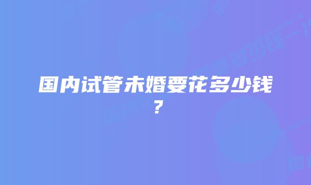 国内试管未婚要花多少钱？