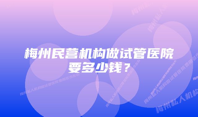 梅州民营机构做试管医院要多少钱？