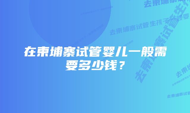 在柬埔寨试管婴儿一般需要多少钱？