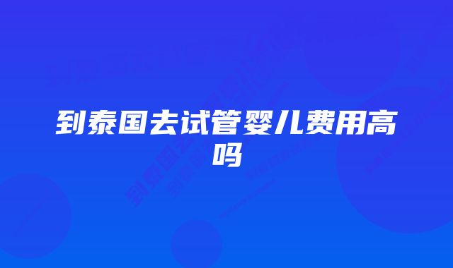 到泰国去试管婴儿费用高吗