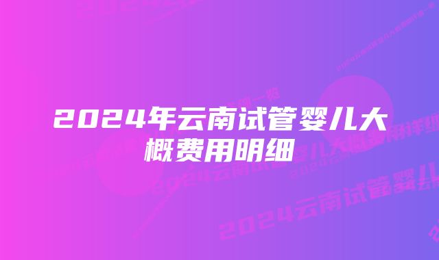 2024年云南试管婴儿大概费用明细