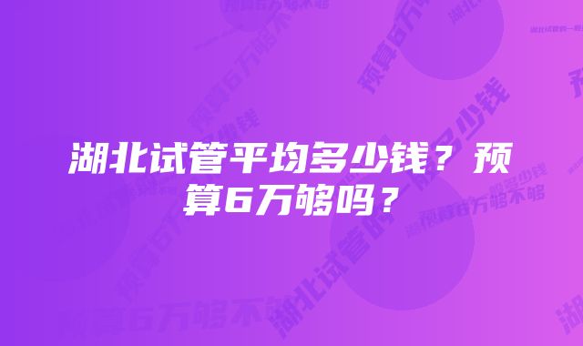 湖北试管平均多少钱？预算6万够吗？