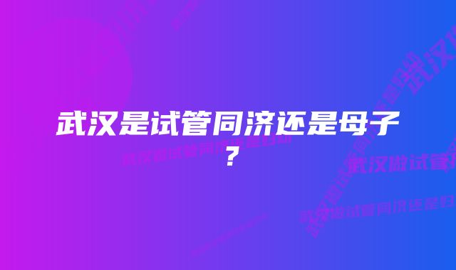 武汉是试管同济还是母子？