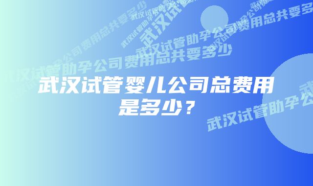 武汉试管婴儿公司总费用是多少？