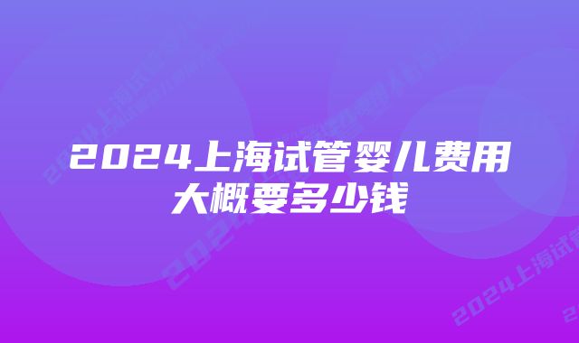 2024上海试管婴儿费用大概要多少钱