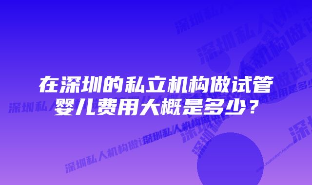 在深圳的私立机构做试管婴儿费用大概是多少？