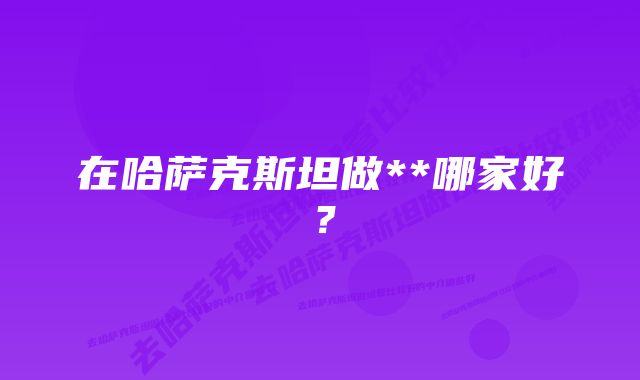 在哈萨克斯坦做**哪家好？