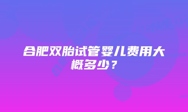 合肥双胎试管婴儿费用大概多少？