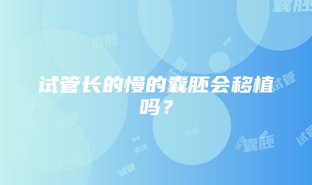 试管长的慢的囊胚会移植吗？