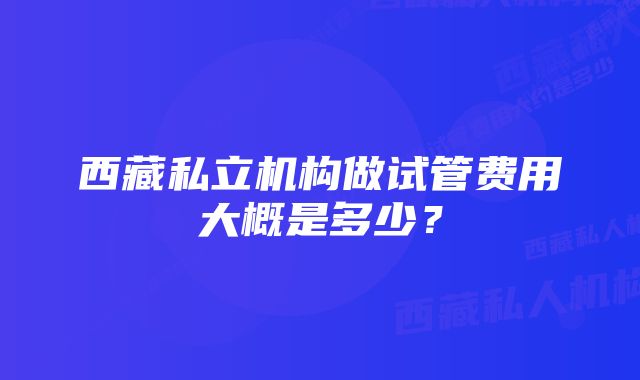 西藏私立机构做试管费用大概是多少？