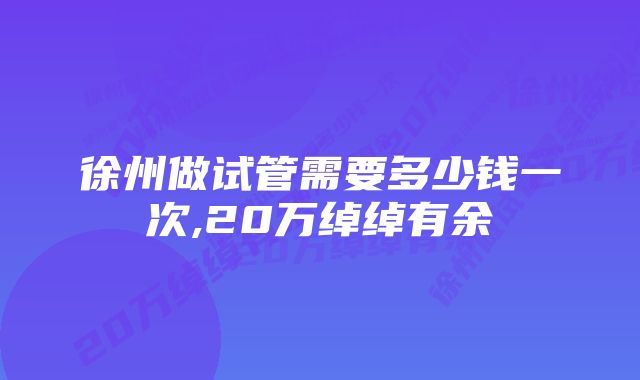 徐州做试管需要多少钱一次,20万绰绰有余