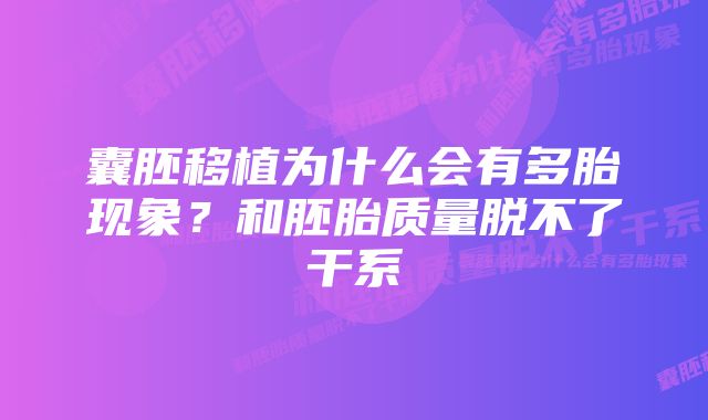 囊胚移植为什么会有多胎现象？和胚胎质量脱不了干系