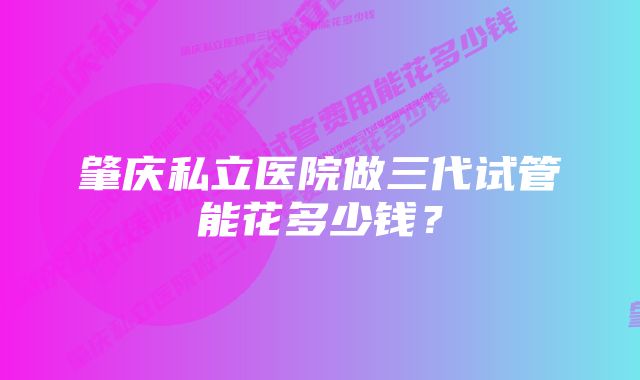 肇庆私立医院做三代试管能花多少钱？