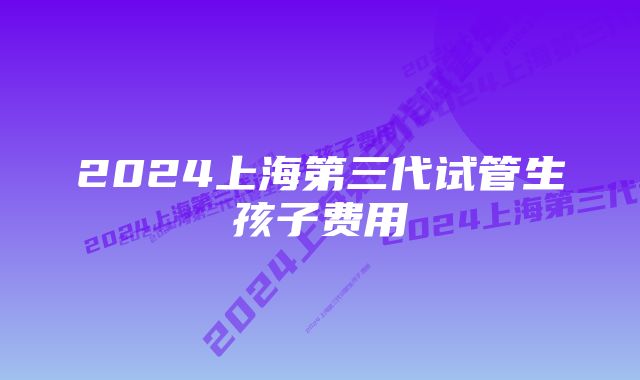 2024上海第三代试管生孩子费用