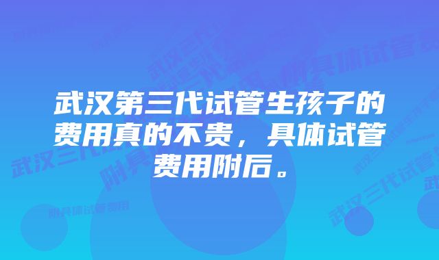 武汉第三代试管生孩子的费用真的不贵，具体试管费用附后。