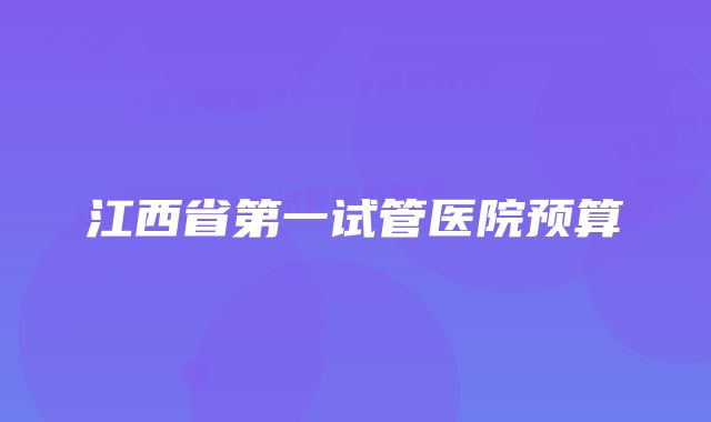 江西省第一试管医院预算