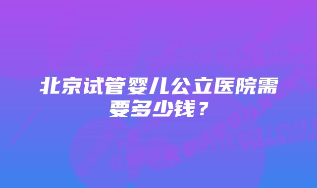 北京试管婴儿公立医院需要多少钱？