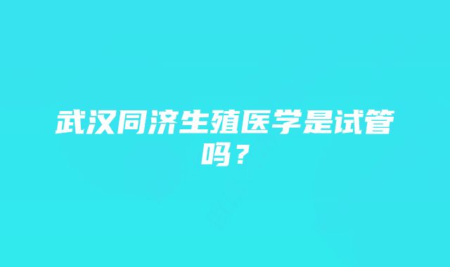 武汉同济生殖医学是试管吗？