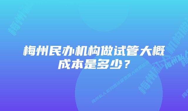 梅州民办机构做试管大概成本是多少？