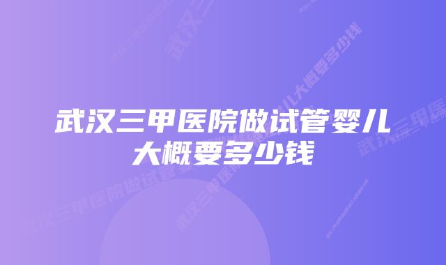 武汉三甲医院做试管婴儿大概要多少钱