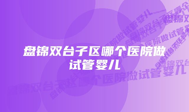 盘锦双台子区哪个医院做试管婴儿