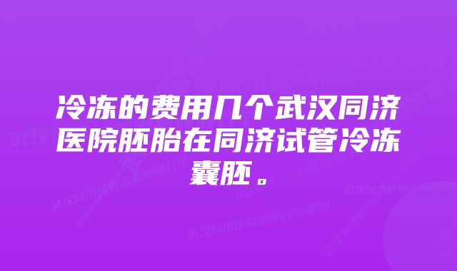 冷冻的费用几个武汉同济医院胚胎在同济试管冷冻囊胚。