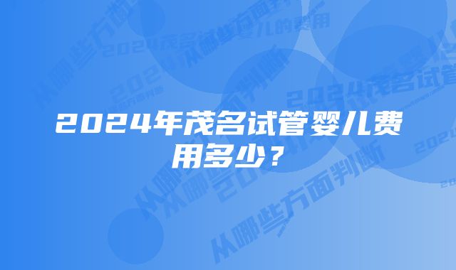 2024年茂名试管婴儿费用多少？