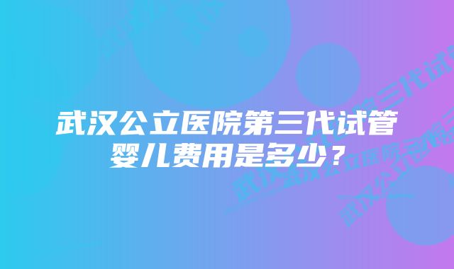 武汉公立医院第三代试管婴儿费用是多少？