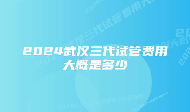 2024武汉三代试管费用大概是多少