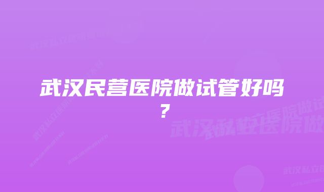 武汉民营医院做试管好吗？