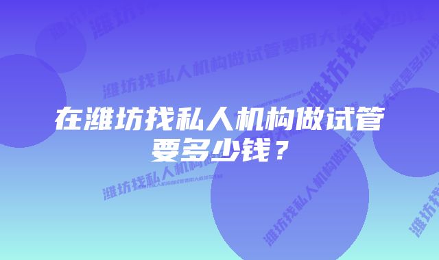 在潍坊找私人机构做试管要多少钱？