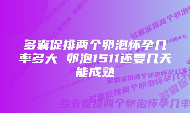 多囊促排两个卵泡怀孕几率多大 卵泡1511还要几天能成熟