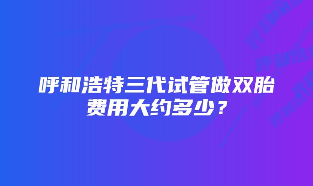 呼和浩特三代试管做双胎费用大约多少？