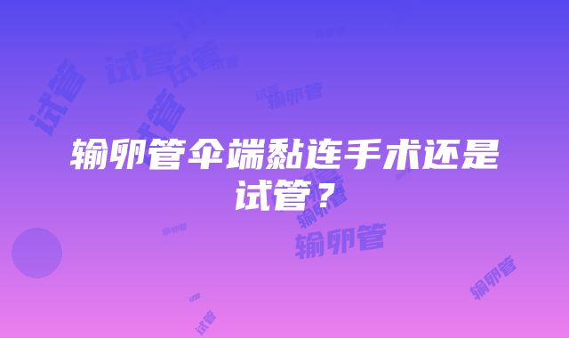 输卵管伞端黏连手术还是试管？