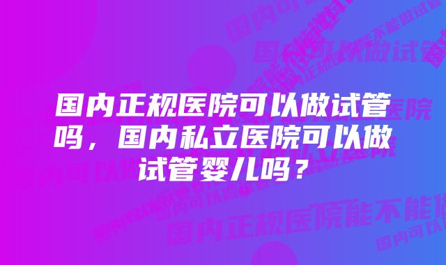 国内正规医院可以做试管吗，国内私立医院可以做试管婴儿吗？