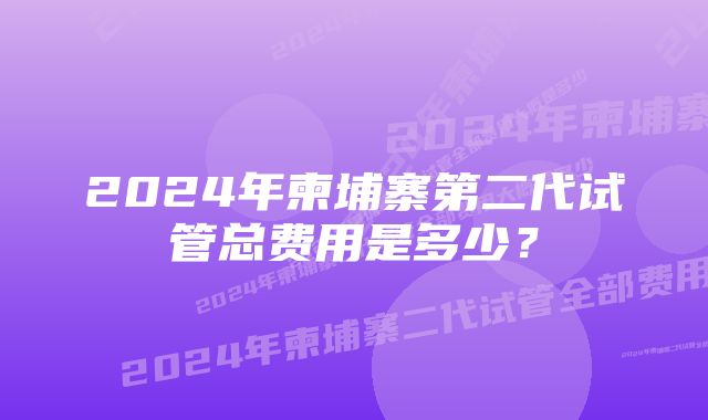 2024年柬埔寨第二代试管总费用是多少？