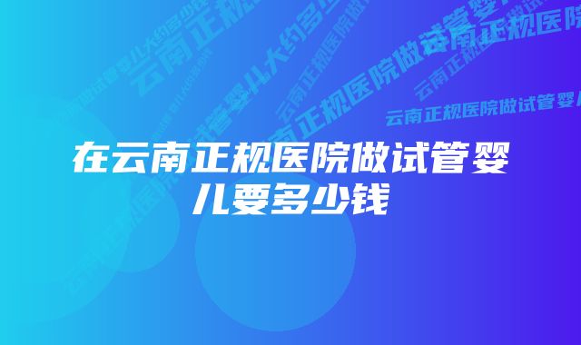 在云南正规医院做试管婴儿要多少钱