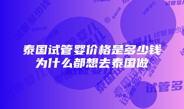 泰国试管婴价格是多少钱为什么都想去泰国做