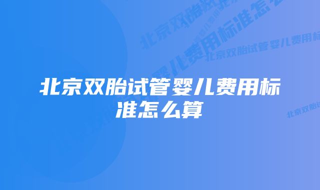 北京双胎试管婴儿费用标准怎么算