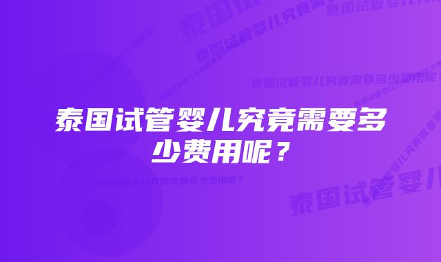 泰国试管婴儿究竟需要多少费用呢？