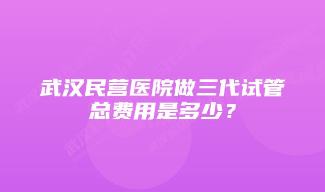 武汉民营医院做三代试管总费用是多少？