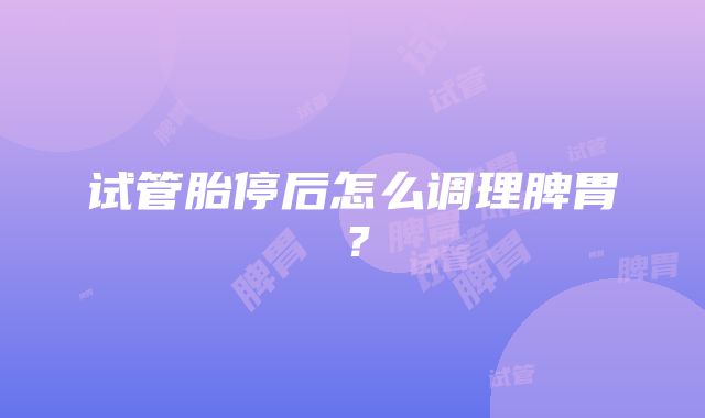 试管胎停后怎么调理脾胃？