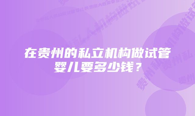 在贵州的私立机构做试管婴儿要多少钱？