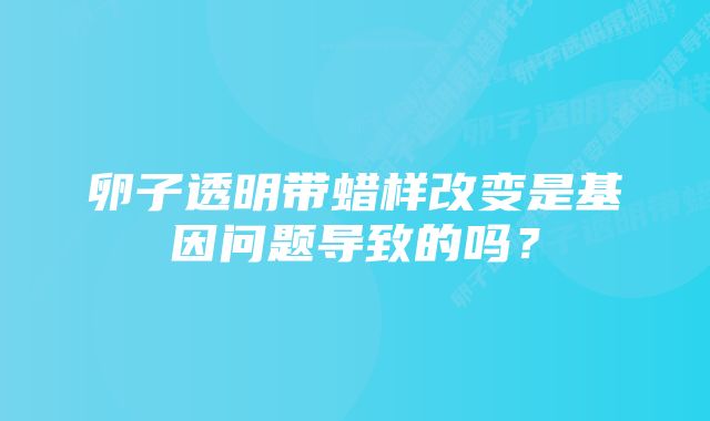 卵子透明带蜡样改变是基因问题导致的吗？