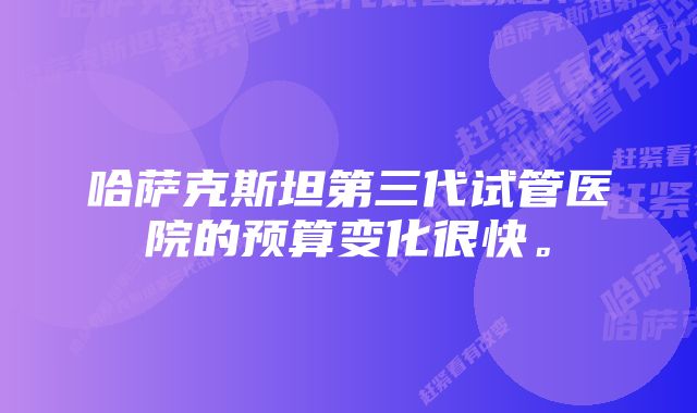 哈萨克斯坦第三代试管医院的预算变化很快。