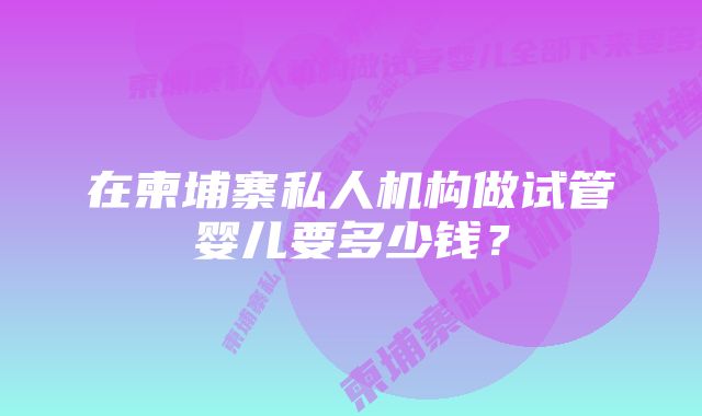 在柬埔寨私人机构做试管婴儿要多少钱？